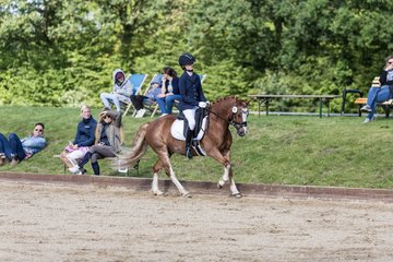 Bild 332 - Pony Akademie Turnier